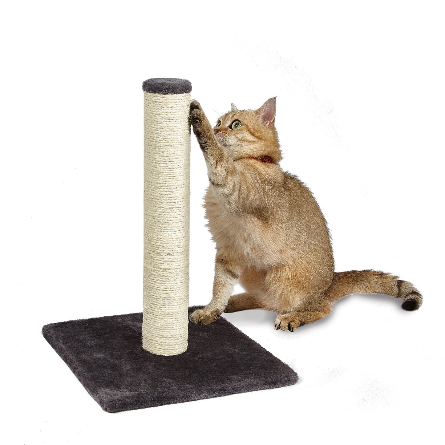 Mini Cat Scratching Tree, Basic Type
